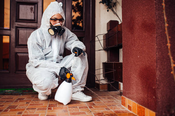 Reliable Bed Bug Control contractor in Mayer, AZ by Nex Pest Control
